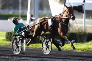 Grand National du Trot - Grand Prix Angers Loire Métropôle