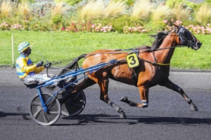 Grand National du Trot