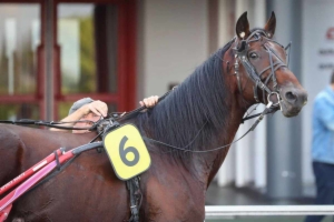 Grand Prix du Portugal (Prix Ovidius Naso)