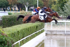 Prix Prince d'Ecouen