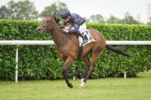 Qatar Prix de la Reine Marguerite Presente Par le Parisien