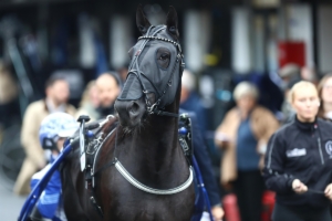 Prix du Bourbonnais-Amerique Races Q2