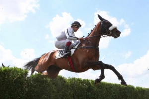Grand Steeple-Chase de la Ville de Deauville