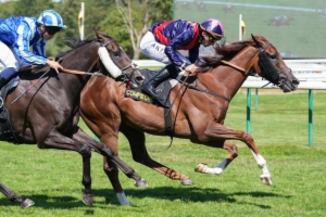Prix Hôtel Barrière le Normandy