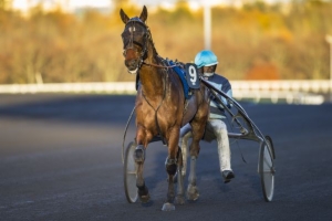 Prix de Montignac-Charente