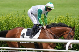 Prix du Petit Pré