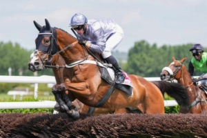 Grande Course de Haies - Prix Guillaume d'Ornano