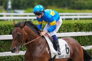 Prix des Equidays