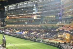 Hing Man Handicap