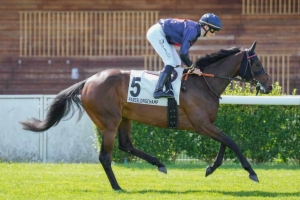 Prix Genybet - Prix de la Côte Fleurie