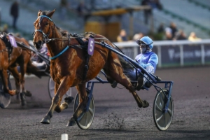 Prix Dominik Cordeau - Prix d'Angoulême