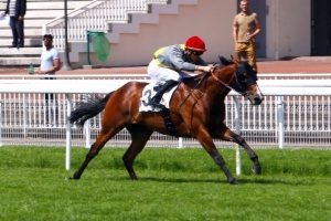 Prix Hubert de Catheu
