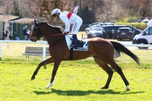 Prix Sagaro