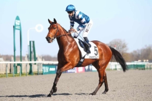 Prix de la Rue des Potagers