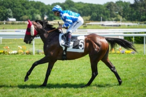 Prix du Docteur Roger Simon-Prix de la Garden Party (Prix After Work)