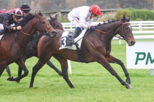 Prix du Jardin des Eaux Minérales