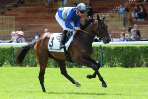 Prix du Petit Pré