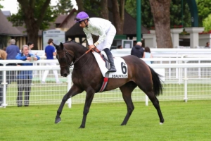 Prix du Palais des Glaces