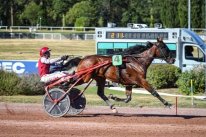 Prix des Pyramides