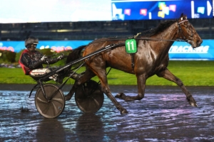 Grand Prix du Vendredi 13 (Prix Tolosa)