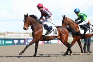 Prix de l'Hôtel Carnavalet - Grand Prix des Femmes Jockeys