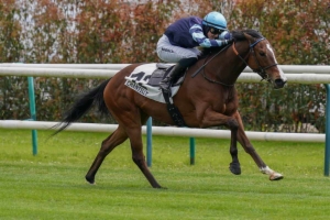 Prix de la Vierge de Lorette
