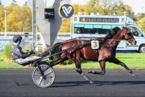 Prix de Sillé-le-Guillaume