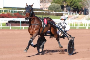Grand Prix de la Ville Rose