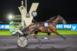 Prix de Bretagne-Amérique Races Q1