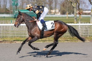 Prix de la Seulles