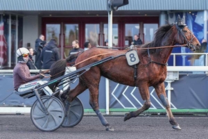 Prix des Lycopodes
