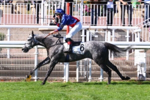 Prix Céréaliste