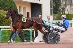Prix Ariel