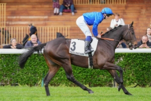 Prix Genybet Super Top 5 (Prix de la Côte de Nacre)