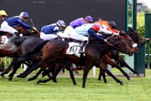 Prix Burgos