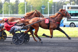 Grand National du Trot