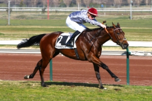 Prix Charles Gastaud