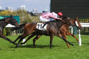 Prix de la Seine et Marne