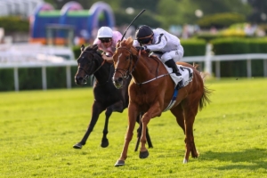 Prix des Epinettes