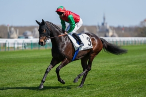Prix du Palais des Glaces