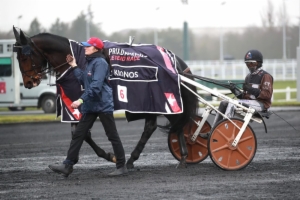 Prix de France Eqwin - Amérique Races