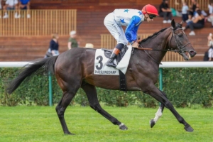 Prix Jacques Rossi (Prix Jules Morgan)