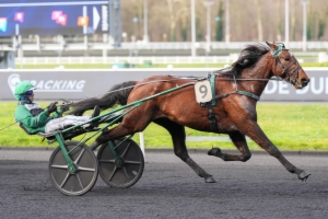 Prix de la Lusophonie (Prix d'Arras)