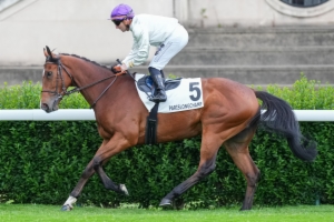 Prix de la Piste des Lions