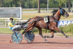Prix des Grandes Carrières