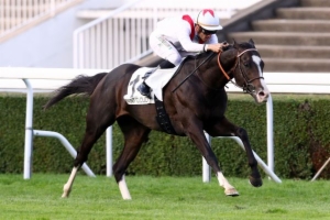 Grand Prix de Châteaubriant - Prix Synergie