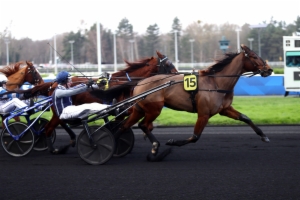Prix du Forez