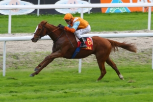 Prix de Barneville