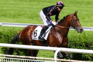 Prix Vans Barbot (Prix du Languedoc)