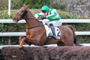 Prix le Parisien (Prix le Guales de Mezaubran)